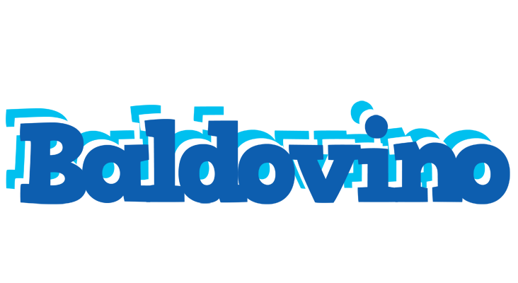 Baldovino business logo