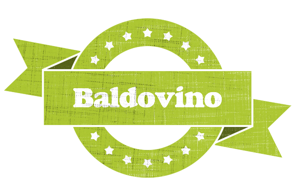Baldovino change logo