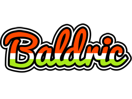 Baldric exotic logo