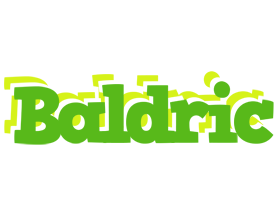 Baldric picnic logo