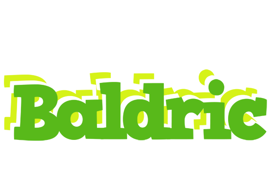 Baldric picnic logo