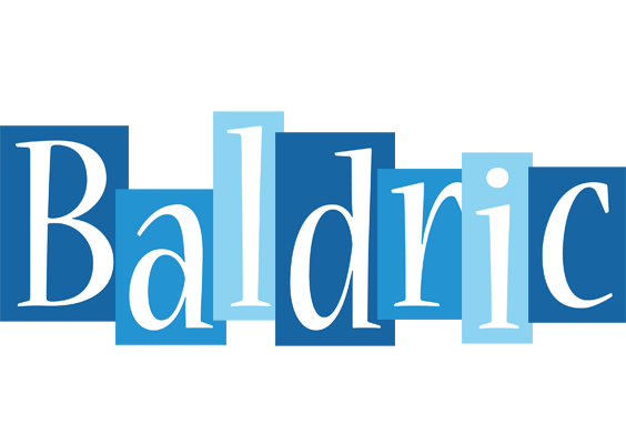Baldric winter logo