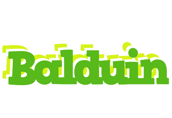 Balduin picnic logo