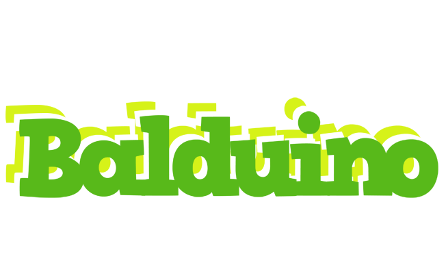 Balduino picnic logo