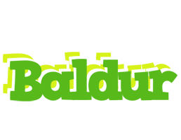 Baldur picnic logo