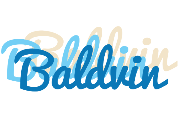 Baldvin breeze logo