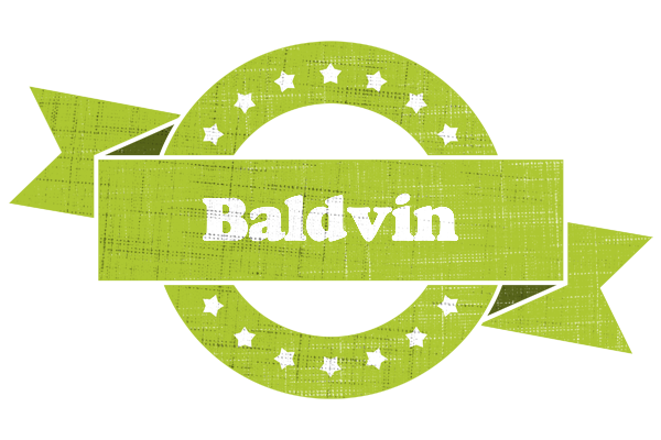 Baldvin change logo