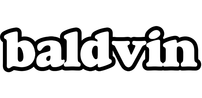 Baldvin panda logo
