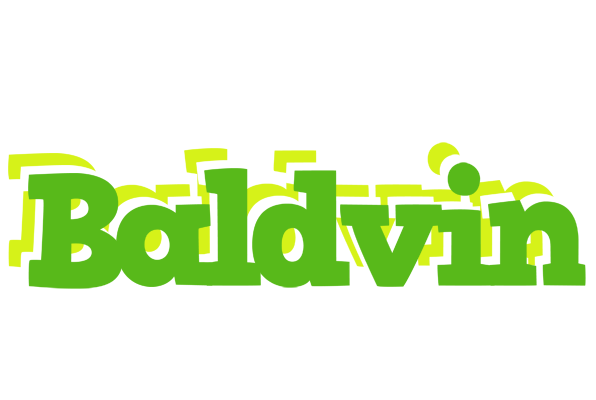 Baldvin picnic logo