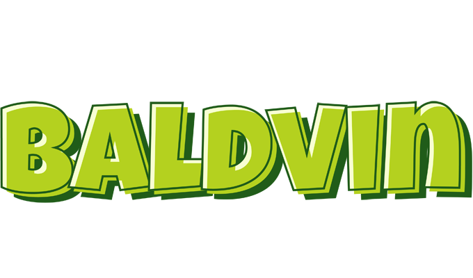 Baldvin summer logo