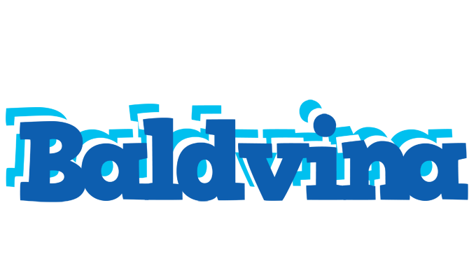 Baldvina business logo