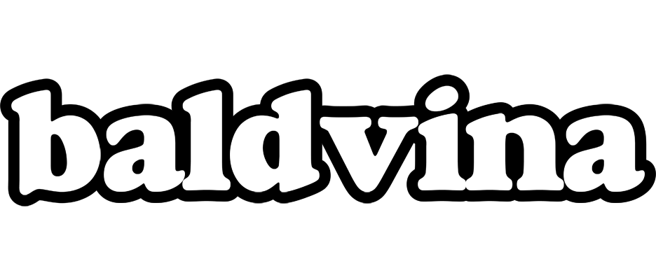 Baldvina panda logo