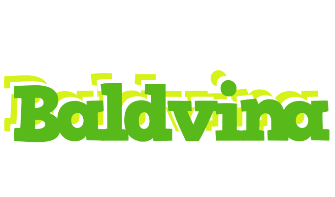 Baldvina picnic logo