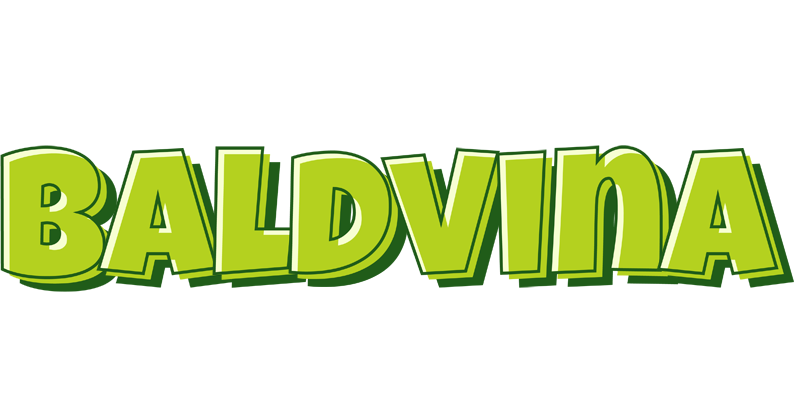 Baldvina summer logo