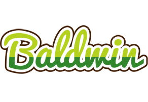 Baldwin golfing logo