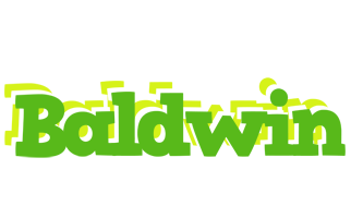 Baldwin picnic logo