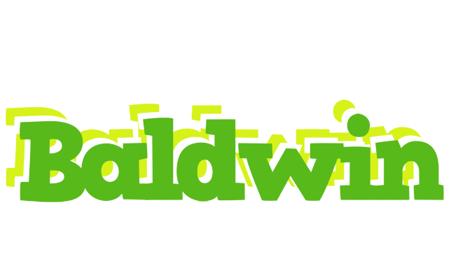Baldwin picnic logo