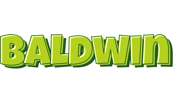 Baldwin summer logo