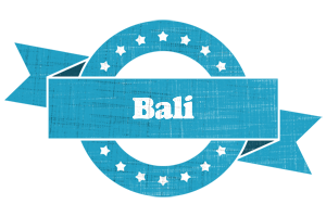 Bali balance logo