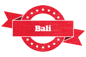 Bali passion logo