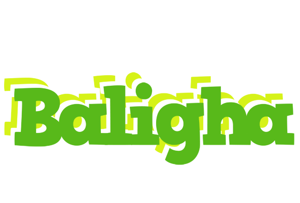 Baligha picnic logo