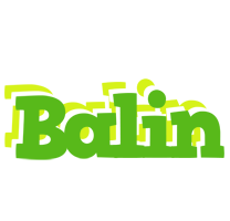 Balin picnic logo