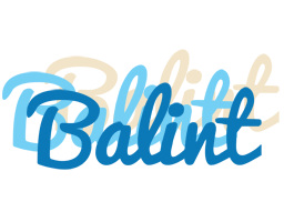 Balint breeze logo