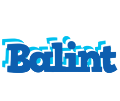 Balint business logo