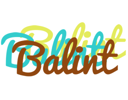 Balint cupcake logo