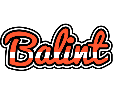 Balint denmark logo