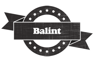 Balint grunge logo