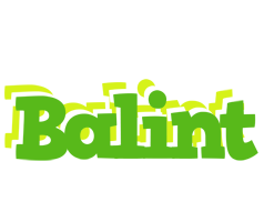 Balint picnic logo