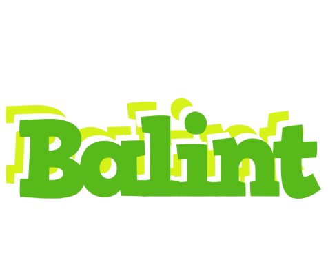 Balint picnic logo