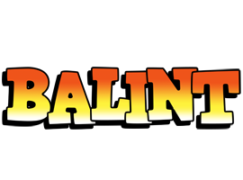 Balint sunset logo