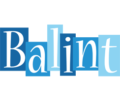 Balint winter logo