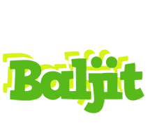 Baljit picnic logo