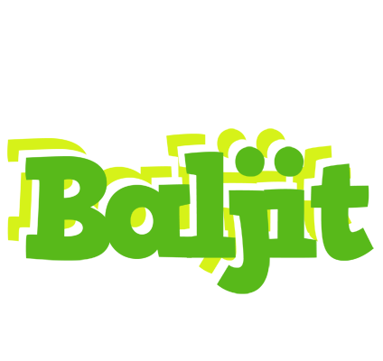 Baljit picnic logo