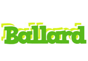 Ballard picnic logo