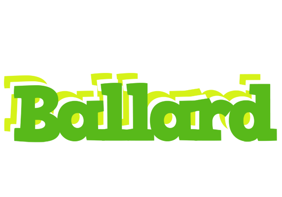 Ballard picnic logo