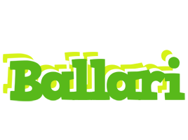 Ballari picnic logo