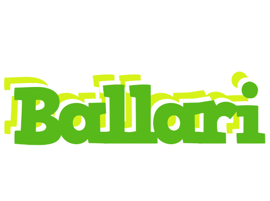 Ballari picnic logo