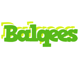 Balqees picnic logo