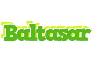 Baltasar picnic logo