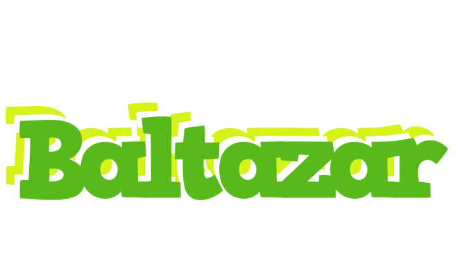 Baltazar picnic logo