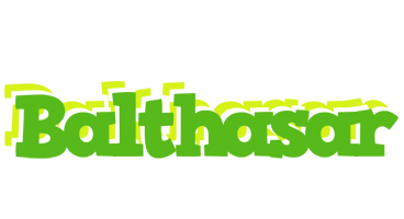 Balthasar picnic logo