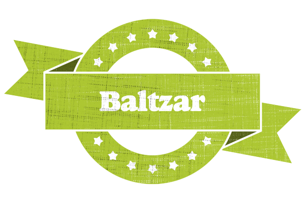 Baltzar change logo