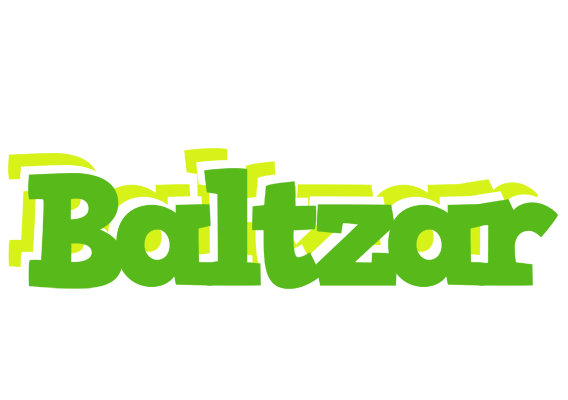 Baltzar picnic logo