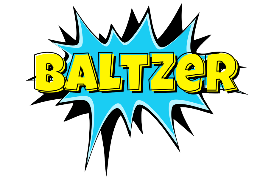 Baltzer amazing logo
