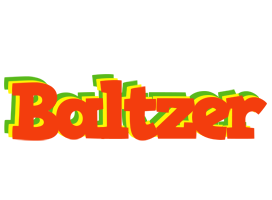 Baltzer bbq logo