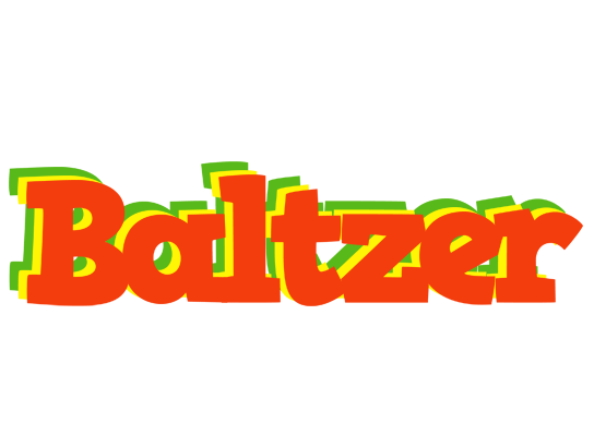 Baltzer bbq logo